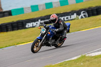 PJ-Motorsport-2019;anglesey-no-limits-trackday;anglesey-photographs;anglesey-trackday-photographs;enduro-digital-images;event-digital-images;eventdigitalimages;no-limits-trackdays;peter-wileman-photography;racing-digital-images;trac-mon;trackday-digital-images;trackday-photos;ty-croes